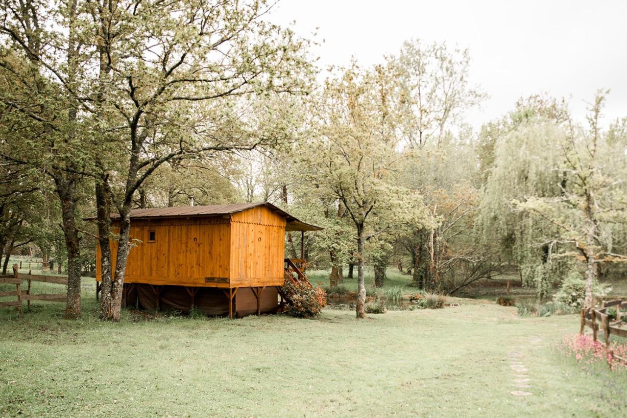 Le Ranch Amadeus Bed & Breakfast Saint-Paul-en-Born Ngoại thất bức ảnh